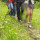 Wandern Wandern