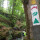Hiking in Mullerthal (2) Hiking in Mullerthal (2)