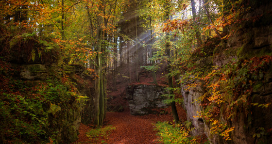 It’s the perfect season to lace up those hiking boots and discover the Mullerthal Region – Luxembourg’s Little Switzerland with its Mullerthal trail. © Alfonso Salgueiro www.alsalphotography.com/LFT