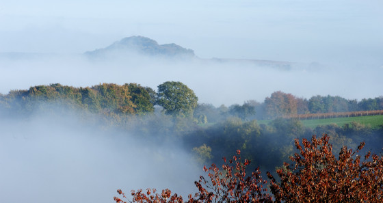 Autumn is also the fog season in Luxembourg. Even the Moselle region with its warmer temperatures is subject to this phenomenon. © R. Astrauskas/LFT