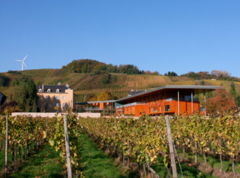 L'auberge de jeunesse de Remerschen est située directement à côté des vignobles et du Baggerweiher.