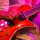 DSC 0657 DSC 0657